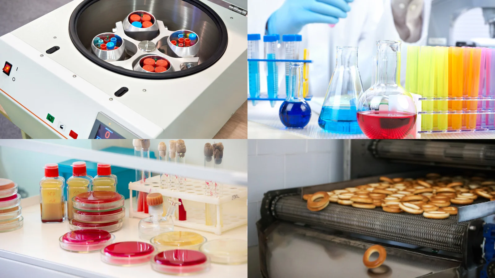 Eine Kollage mit Zentrifuge, Laborkolben, Platten und eine Maschine, die Gebäck herstellt